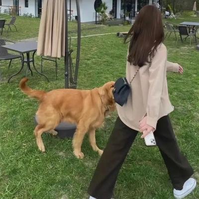 卡拉布公主